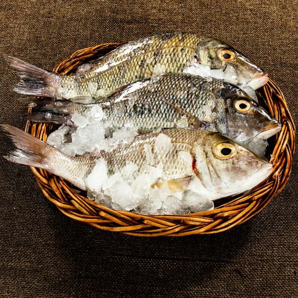 Emperor Fish (Small Size) | Vilai Meen