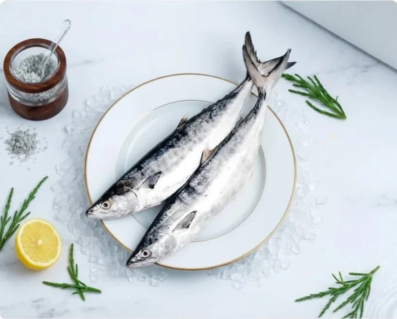 Seer Fish (Big Size) | Vanjaram