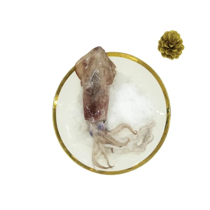 Squid | Kanavai