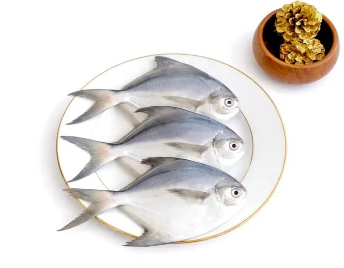 Silver Pomfret (Small Size) | Vaval