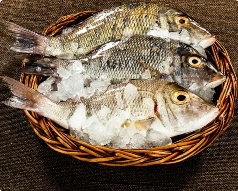 Emperor Fish (Medium Size) | Vilai Meen