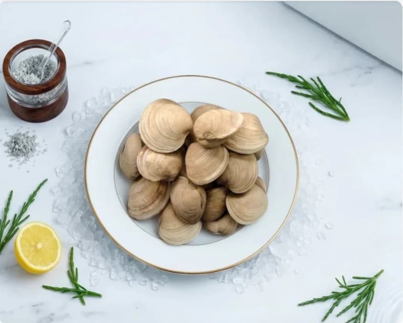 Clams Meat (Chilled Meat)