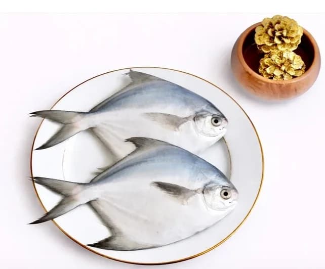 Silver Pomfret (Medium Size) | Vaval
