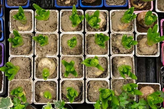 Nursery (Saplings)